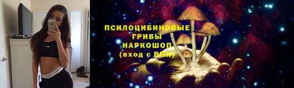 шишки Козловка