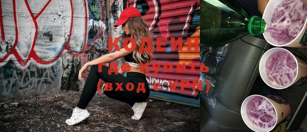 шишки Козловка