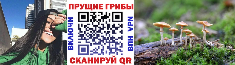 Псилоцибиновые грибы MAGIC MUSHROOMS  цены   Котельнич 