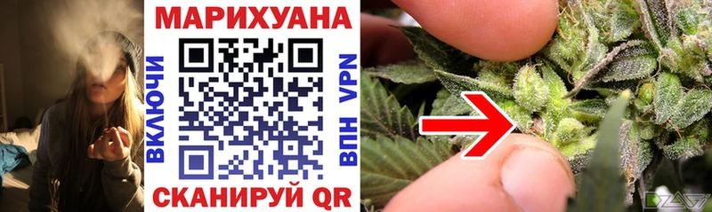 где купить наркоту МЕГА как войти Конопля Amnesia Котельнич
